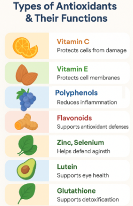 Types of Antioxidants
