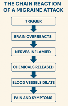 Migraine Chain Reaction