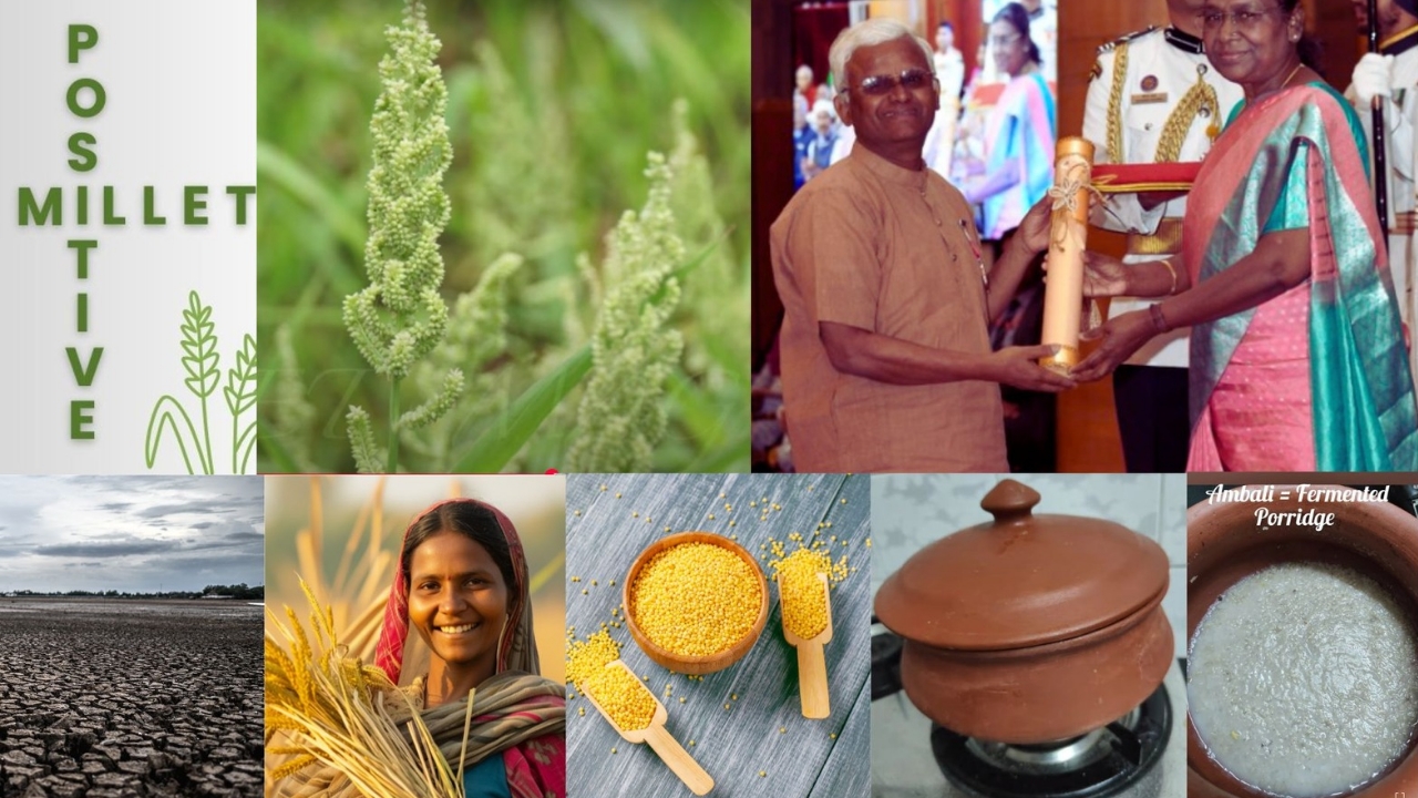 The Millet Man of India -Contributions & Awards