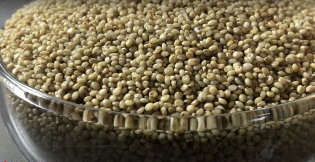 Browntop Millet - Unpolished