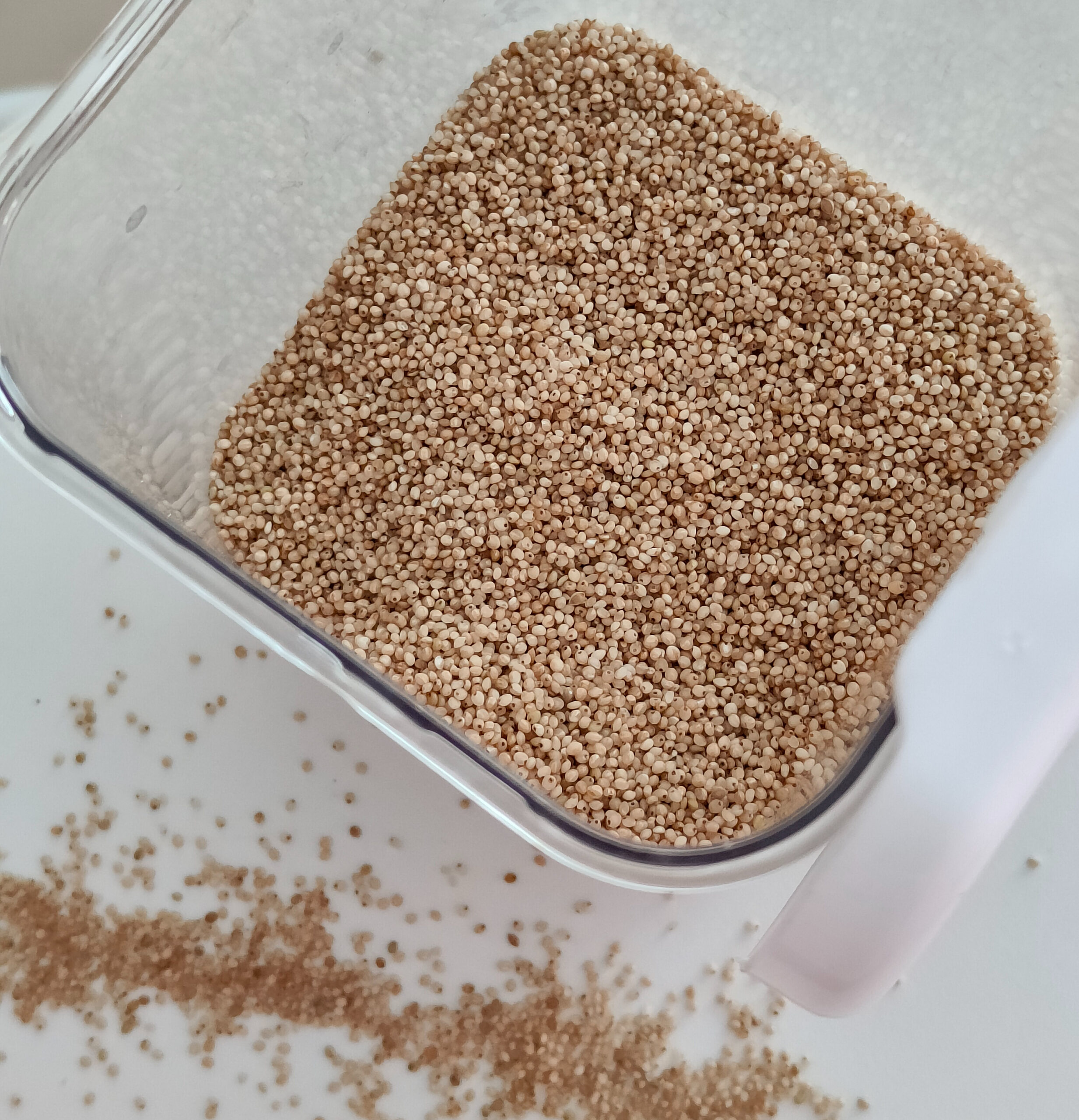 Little Millet - Unpolished