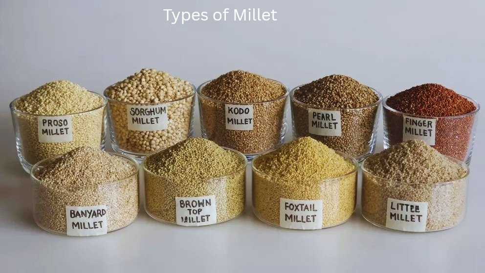 What is Millet - Types Types of Millet