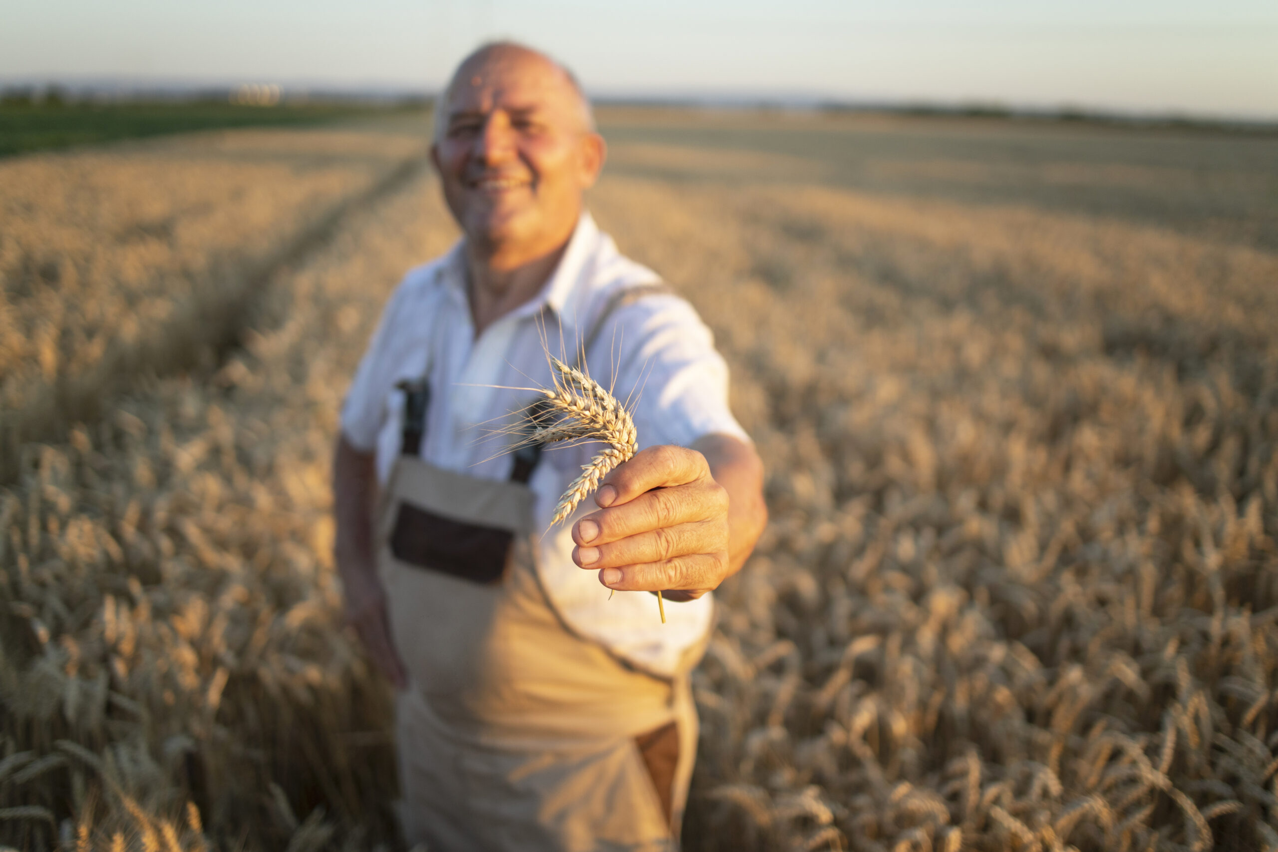 Types of Millets - Farmer holding Millet Crops