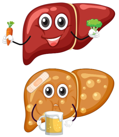 Liver Detox