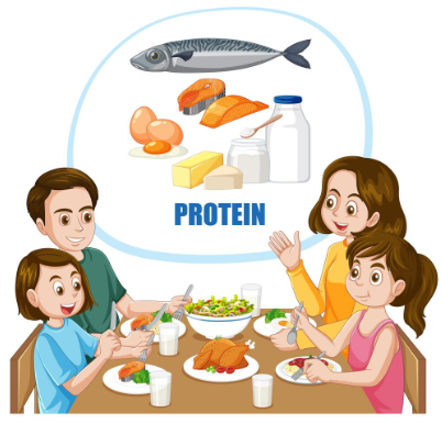 Proteins - Veg vs Non Veg